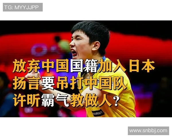 南京乒乓球队的速度之谜：揭秘训练背后的故事与技巧