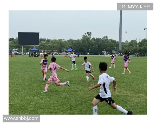 南京足球队荣登足球节奏排行榜第八名引发热议