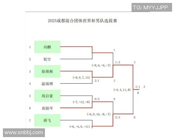 成都乒乓球队在世界杯预选赛中的精彩表现与实力分析