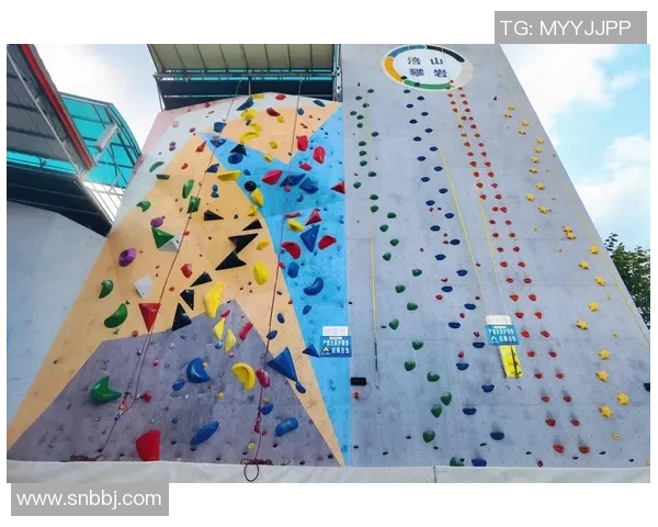 武汉攀岩队的力量与精神：探索攀岩运动的魅力与挑战