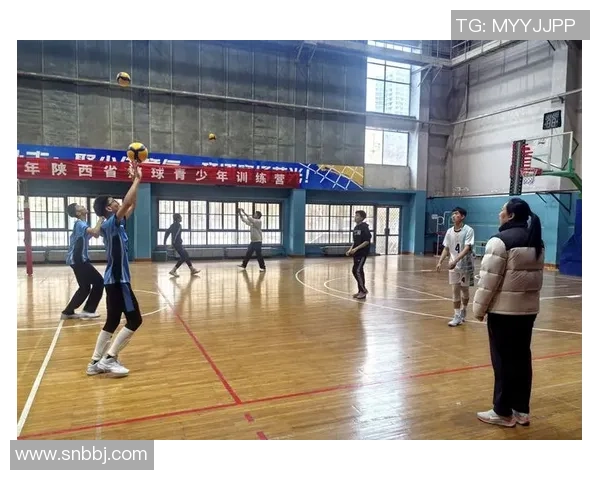西安排球队战术变革引发热议排球界新趋势探讨与分析