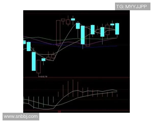 西安羽毛球队防守策略分析与比赛表现评估探讨