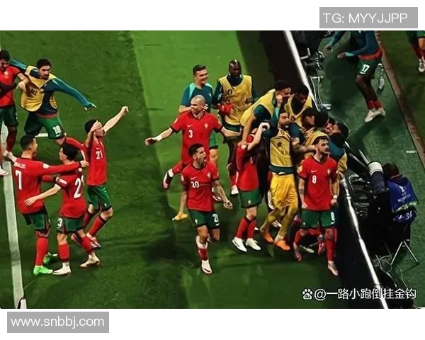 2004年欧洲杯经典对决回顾葡萄牙与荷兰的激烈较量与精彩瞬间